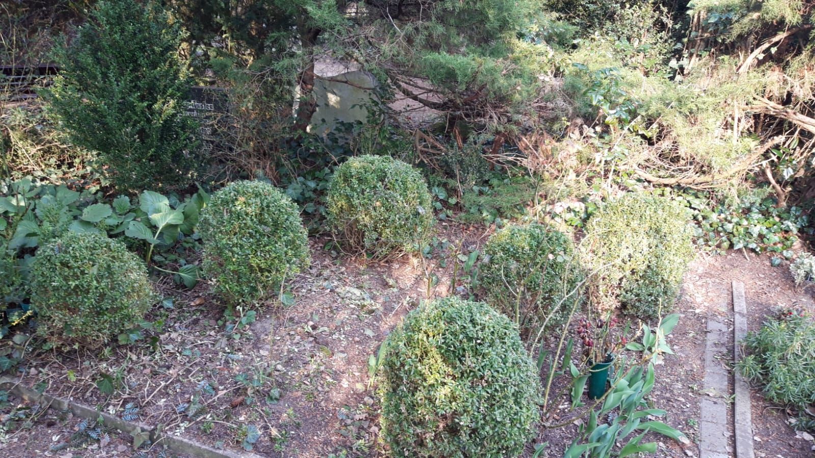 Bepflanzte Grabstätte von Herbert Dreilich auf dem Friedhof Biesdorf