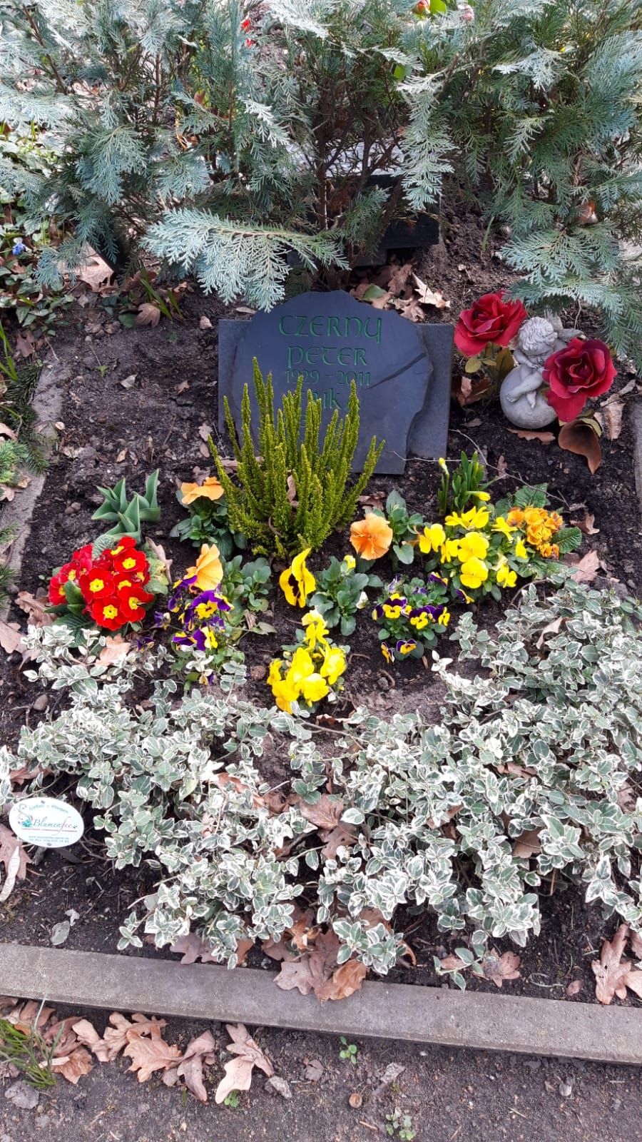 Grabstein von Peter Czerny mit Frühlingsblumen auf dem Friedhof Biesdorf